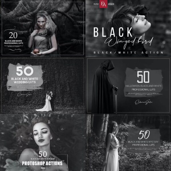 1000+ Black & White Photoshop & Lightroom Presets